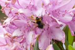 P1020254